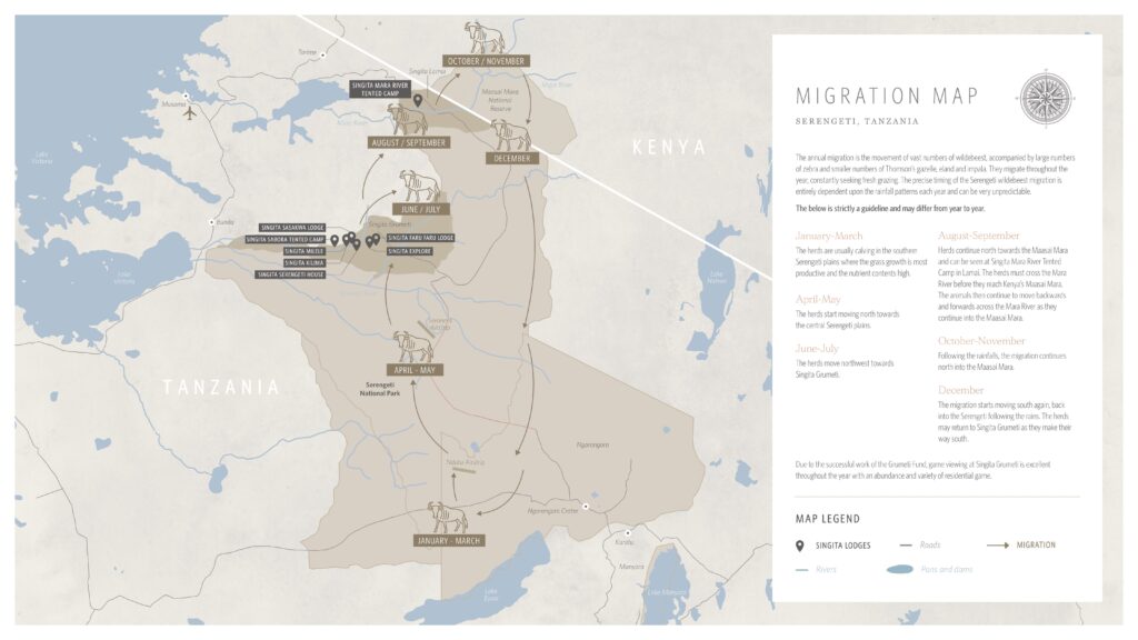 Serengeti wildebeest Migration Safari