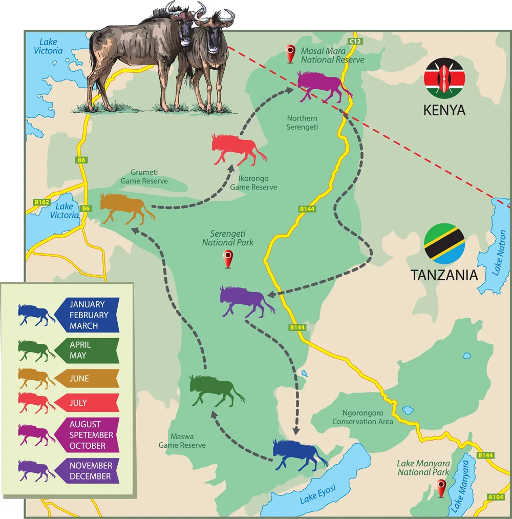 SERENGETI WILDEBEEST MIGRATION