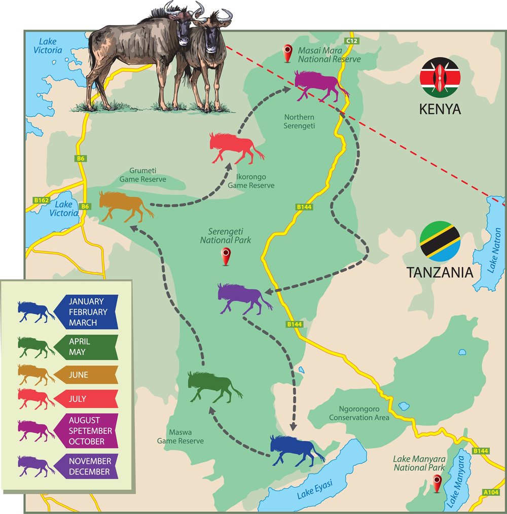 serengeti wildebeest migration