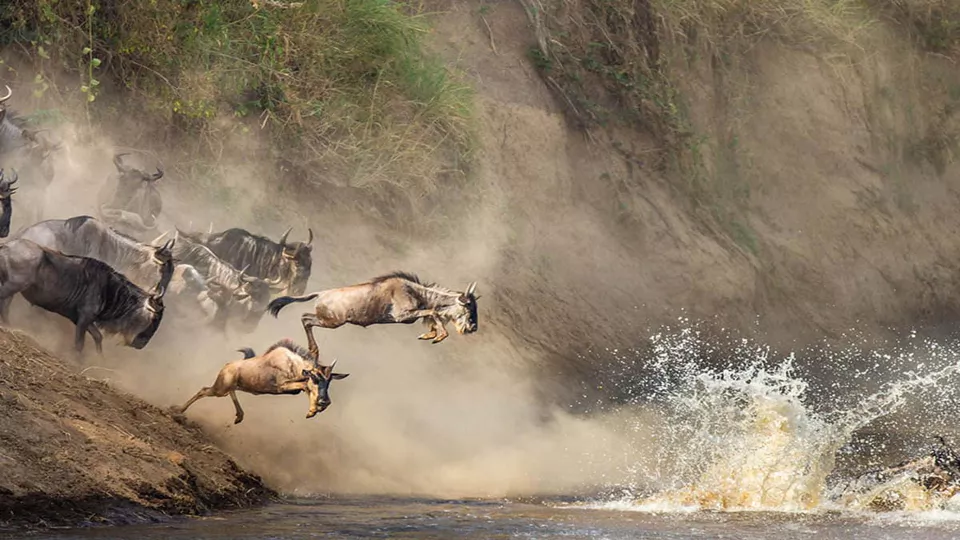  Serengeti Mara Area