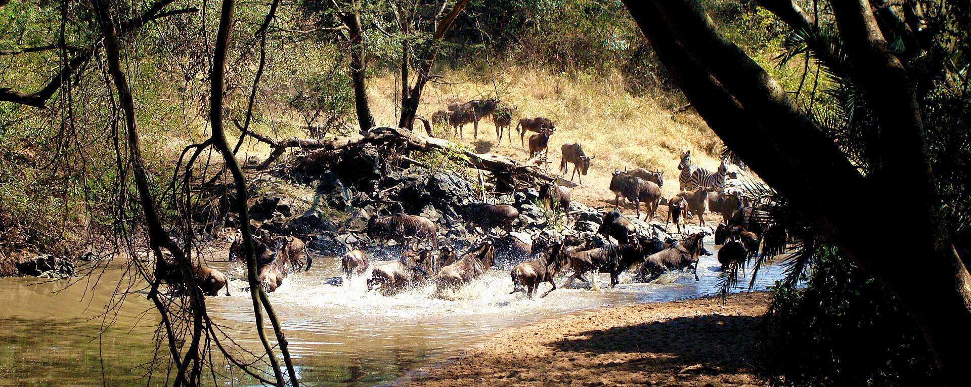 Western Serengeti