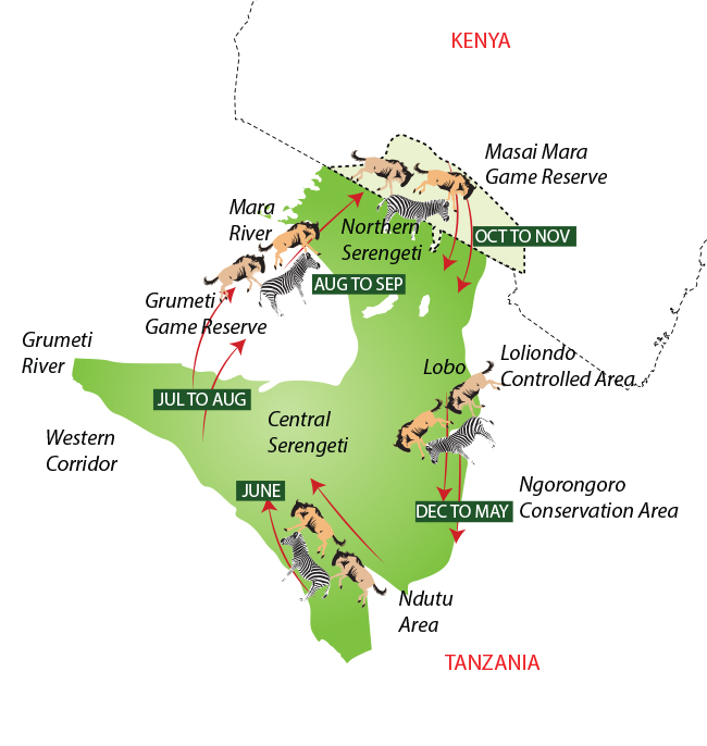 serengeti wildebeest migration safari