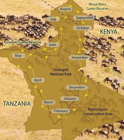 serengeti wildebeest migration safari