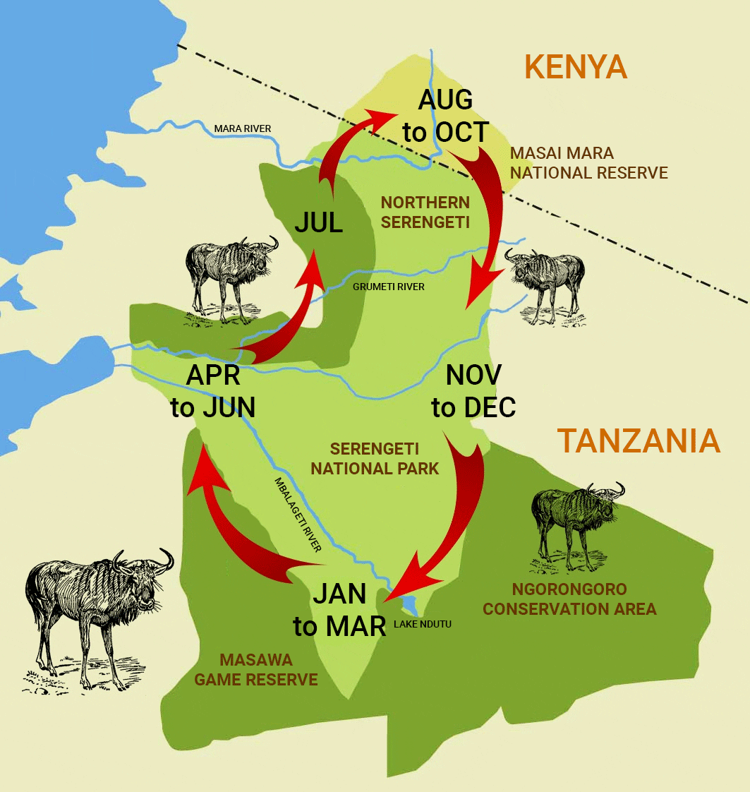 Great Wildebeest Migration Hotspots