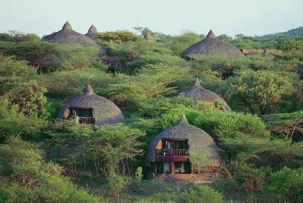 serengeti wildebeest migration