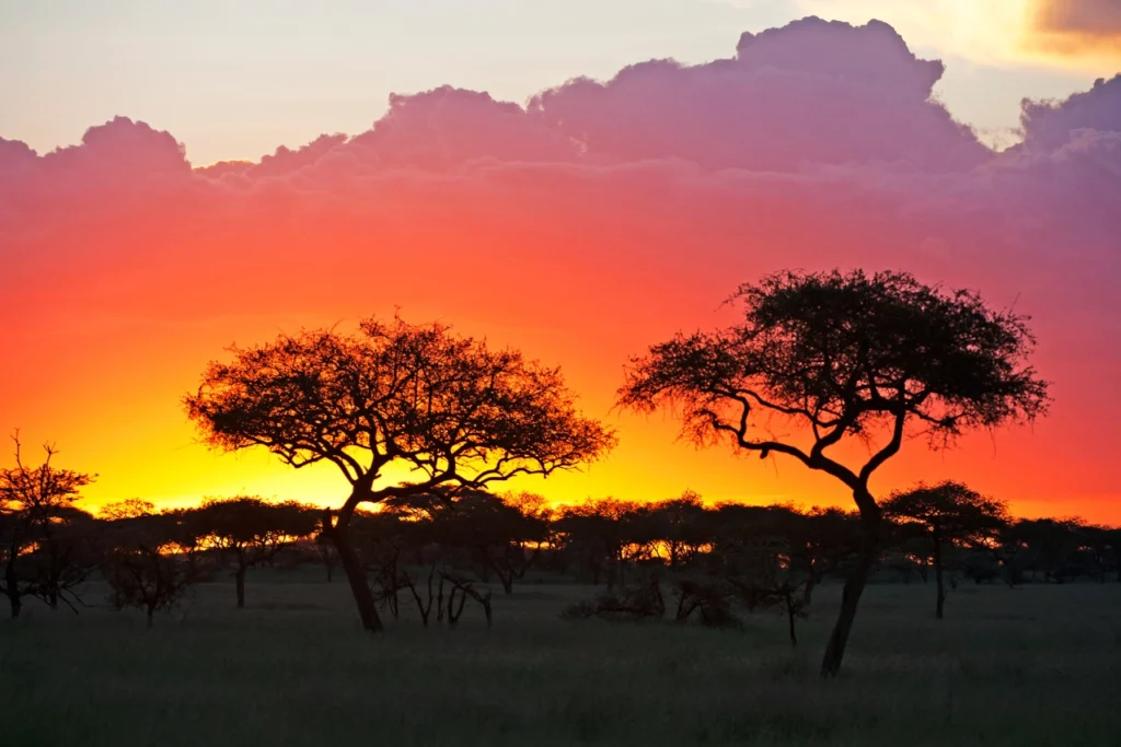 Sunset over Serengeti National Park