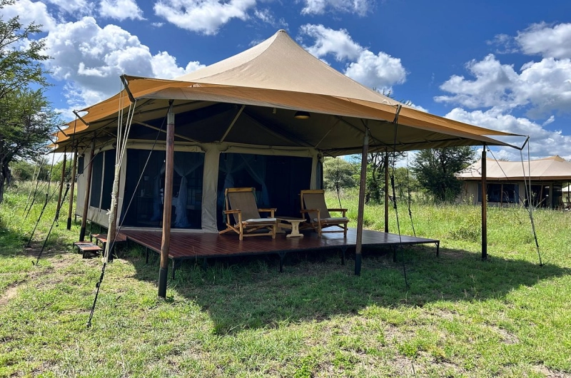 Serengeti Wildebeest Migration Safari