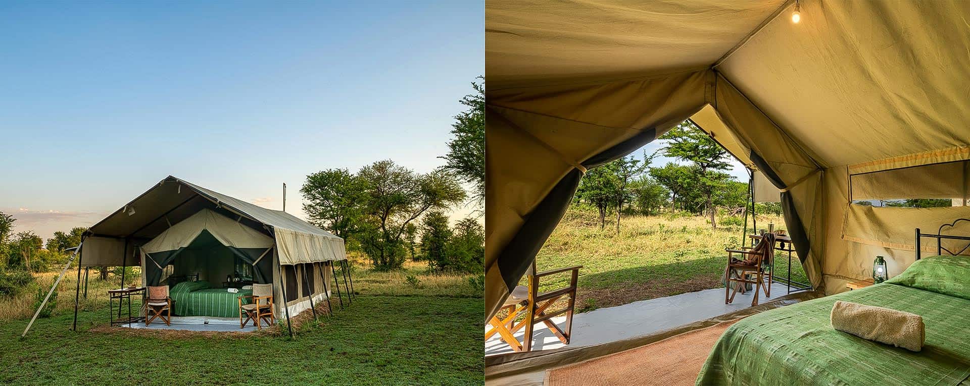 Serengeti Wildebeest Migration Safari