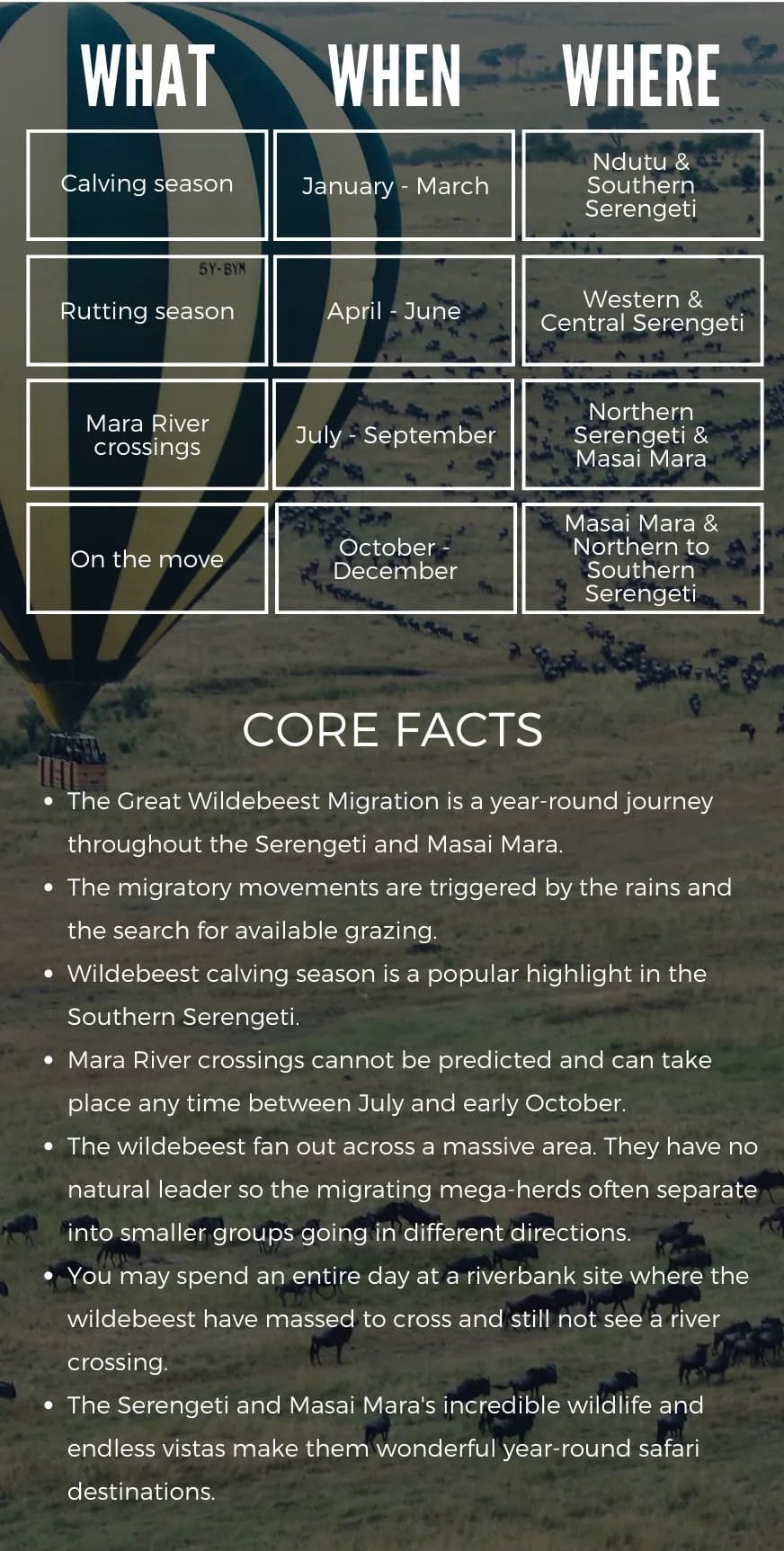 Serengeti Wildebeest Migration
