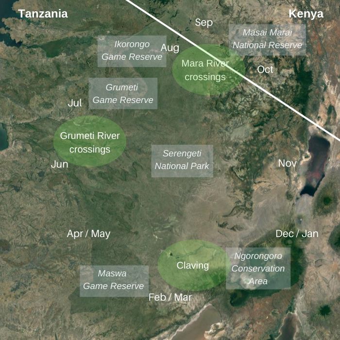 Serengeti Wildebeest Migration